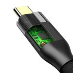 Type-C To Type-C 3.1 Gen2 100W Data Aktarım ve Şarj Kablosu 2M - Görsel 3